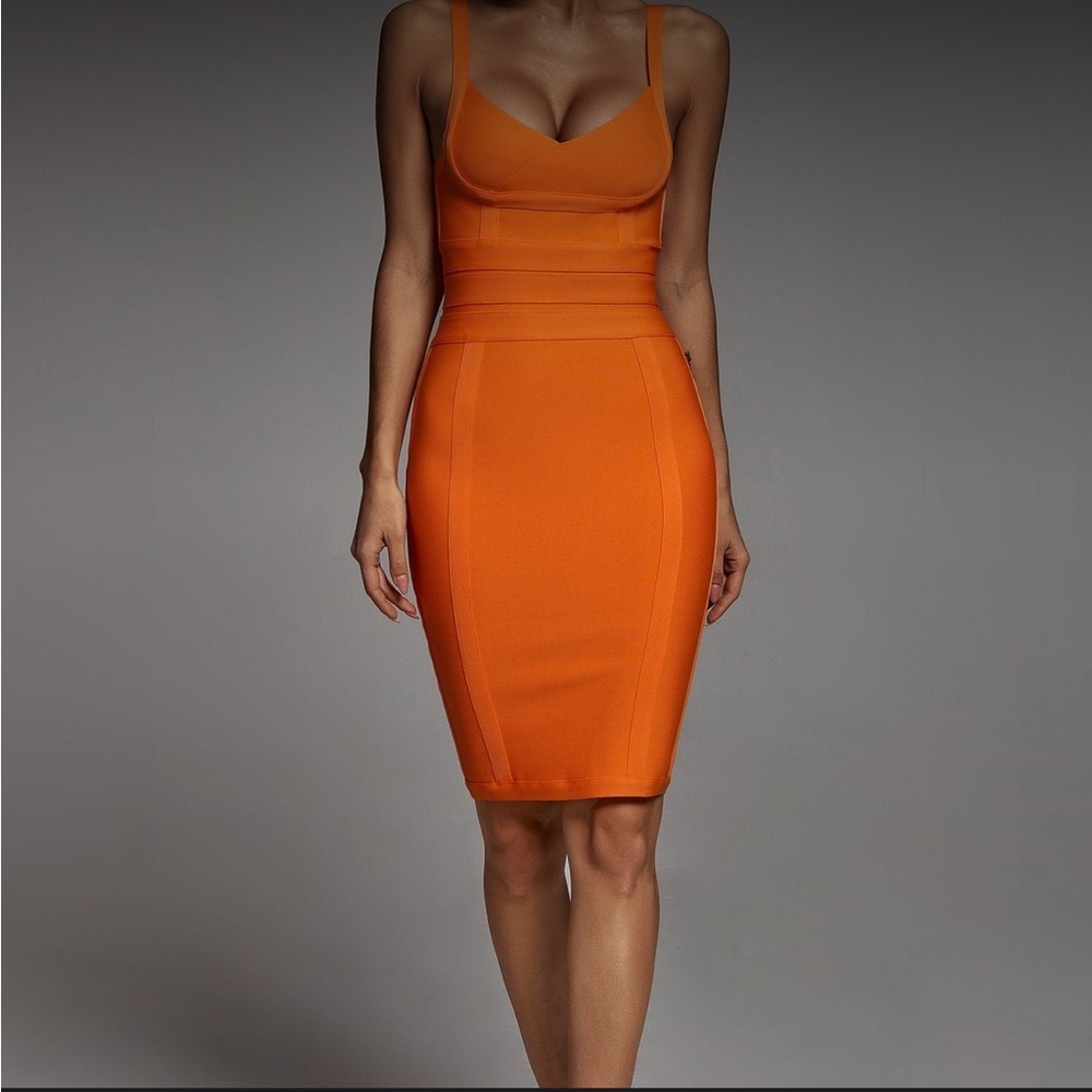 NWT Bella Barnett Fitted Dress